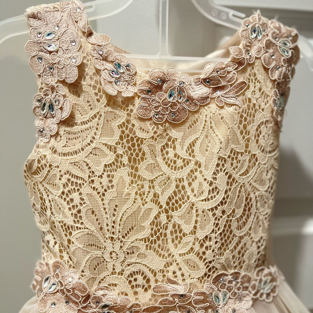 Lace Party Dress